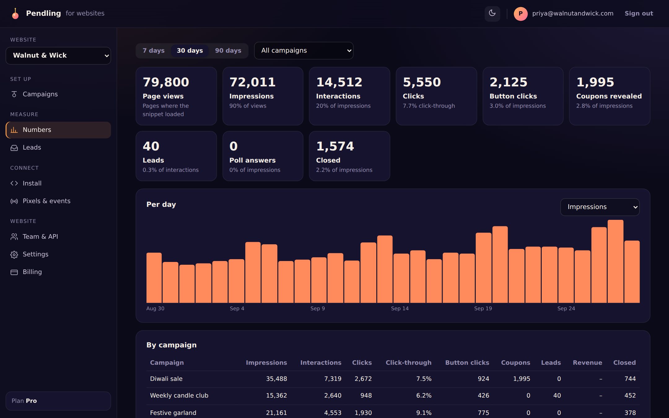 The Numbers page: page views, impressions, clicks, coupons and leads, a chart per day, and a table by campaign